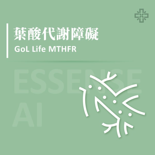 Essense AI 元萃數據_葉酸代謝基因檢測